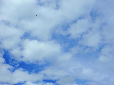 【空の写真】秋空 秋空,空,雲の写真素材