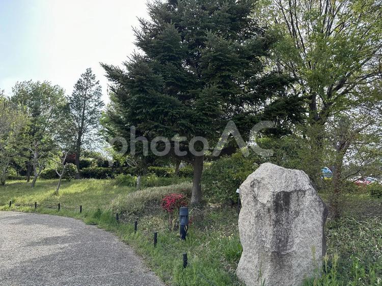 公園の入り口の小道 風景,入口,公園の写真素材
