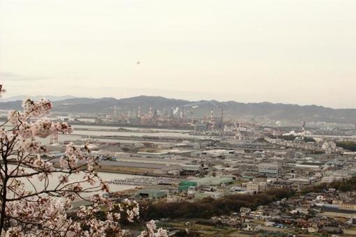 Cherry blossoms and an industrial landscape, JPG Cherry blossoms and an industrial landscape, JPG