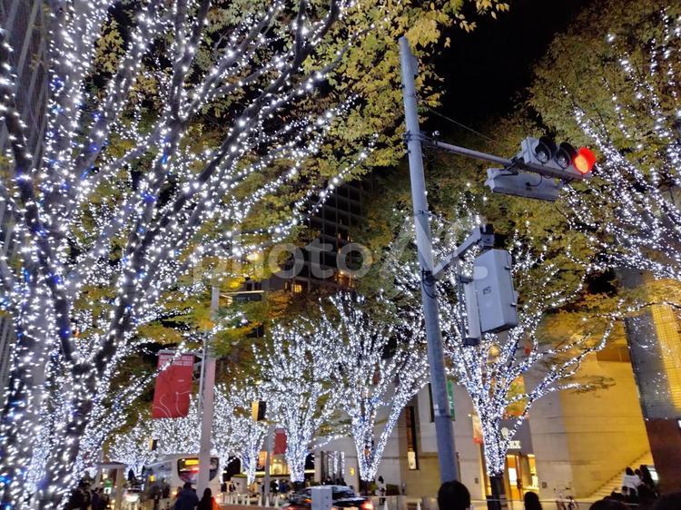 イルミネーション クリスマス,背景,カップルの写真素材