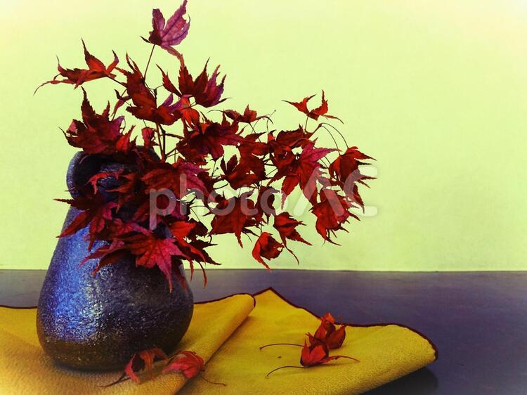 和室の床の間の紅葉の花瓶 もみじ,オーナメント（アート）,カードの写真素材
