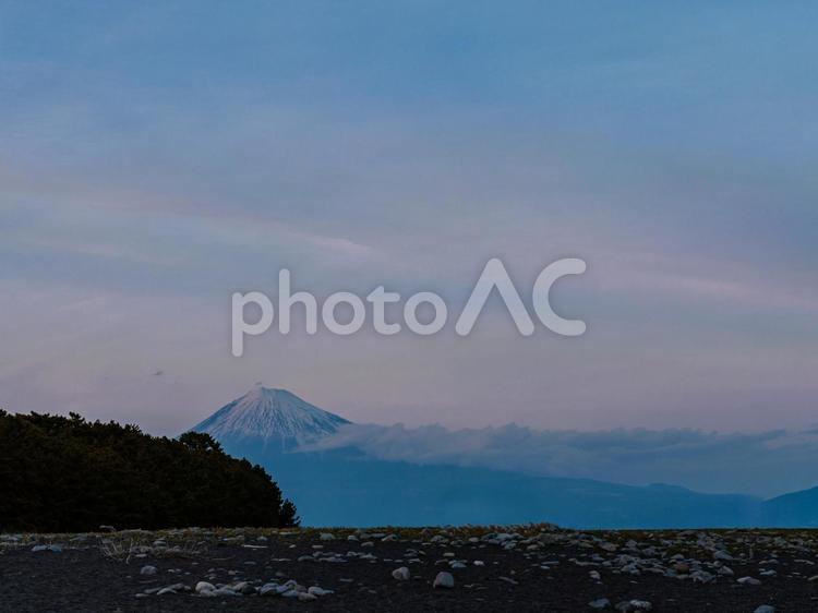 三保松原から眺める富士山 三保松原,富士山,山の写真素材