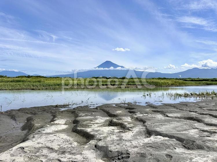 富士海岸から見る富士川と富士山 富士山,富士川,海岸の写真素材