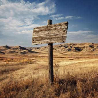 未来を指し示す木製のサイン 未来を指し示す木製のサインの写真