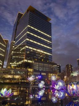 光あふれる梅田の夜景 梅田,イルミネーション,夜景の写真素材
