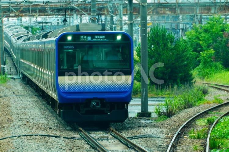 横須賀総武線の電車 電車,横須賀線,通勤の写真素材