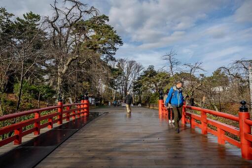 秋の弘前城散歩 弘前城,弘前公園,紅葉の写真素材