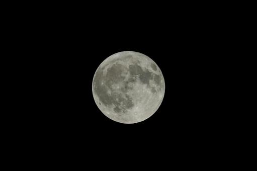 七月の暑い夜、16日の満月 七月の暑い夜、16日の満月の写真