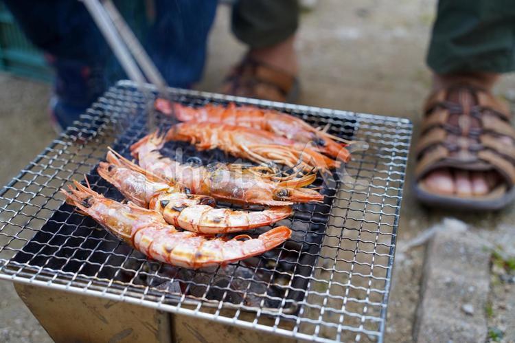 海老（エビ）のバーベキュー（BBQ） アウトドア,キャンプ,エビの写真素材