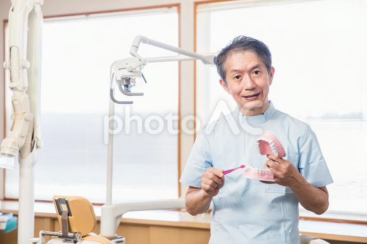 歯みがき指導する歯医者さん 歯医者,歯磨き,歯の写真素材