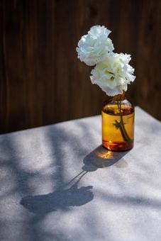 茶色い瓶と白い花 茶色い瓶と白い花 瓶,花,白の写真素材