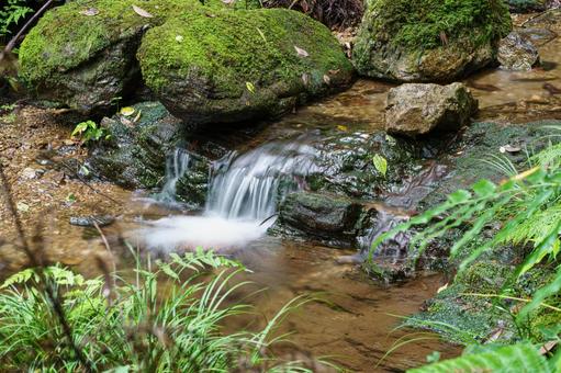 渓谷の清流の流れる小川 渓谷の清流の流れる小川 自然,風景,水の写真素材