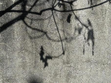 壁に映る陰の写真