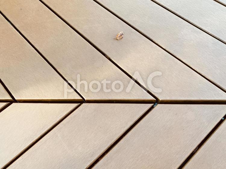 朝陽が当たる雨上がりのベンチ 朝陽,赤色,小物の写真素材