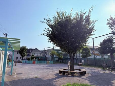 公園 木と丸い木製ベンチ 公園 木と丸い木製ベンチ 公園,ベンチ,木の写真素材