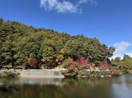 晩秋の小坂田池（長野県塩尻市） 小坂田池,池,pondの写真素材
