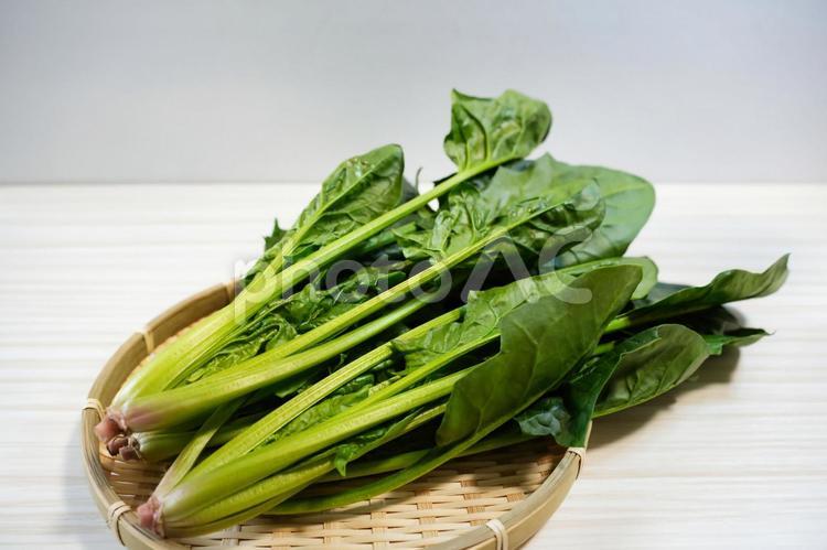 新鮮なほうれん草の鮮やかさ ほうれん草,ホウレンソウ,緑黄色野菜の写真素材