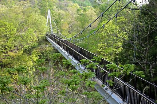 緑の木々のなかをまっすぐ渡る橋の写真