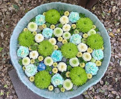 色鮮やかな花手水36 花手水,はなちょうず,手水舎の写真素材