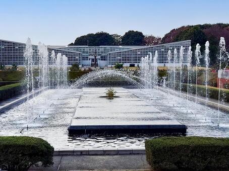 都立神代植物公園のバラ園の噴水 都立神代植物公園,バラ園,噴水の写真素材