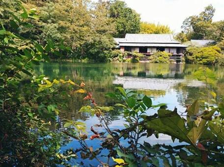 日本庭園（自然・植物）の写真