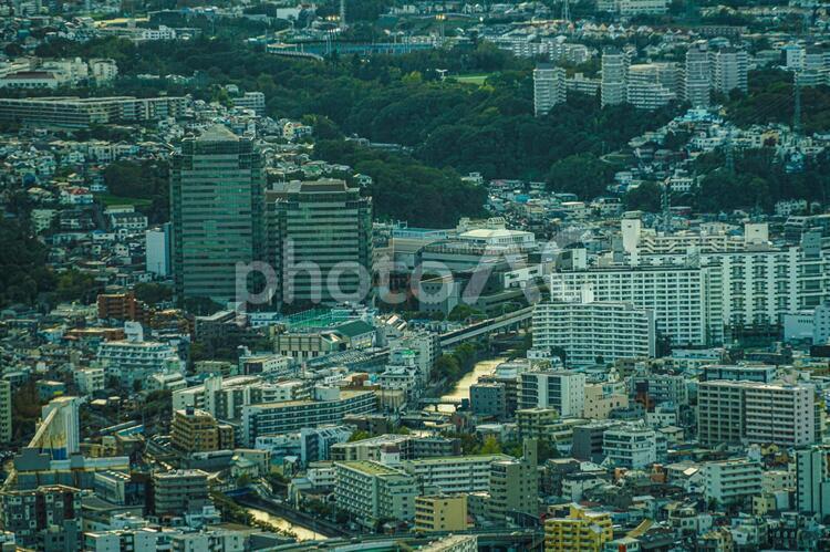 横浜ランドマークタワー展望台から見える横浜の街並みと夕景 横浜,みなとみらい,横浜みなとみらいの写真素材