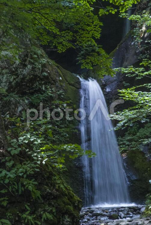 星置の滝 滝,清涼感,川の写真素材