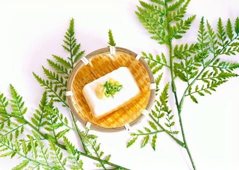 冷奴（ざる）＋シダ・俯瞰 豆腐,冷奴,ざるの写真素材