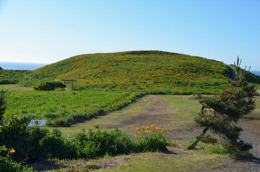 Sado's flower garden 2, sado island, sado, niigata, JPG