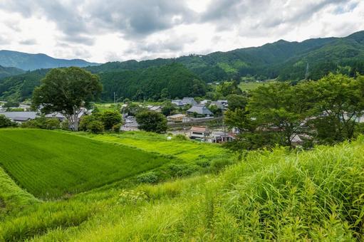 夏の緑豊かな里山と田園風景 里山,風景,田舎の写真素材