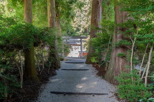 奈良 高天彦神社 参道 奈良 高天彦神社 参道 高天彦神社,高天彦,神社の写真素材