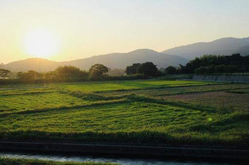 田舎の朝 田舎の朝の写真