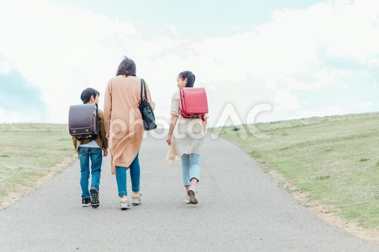 道を歩く親子（後ろ姿） 親子,子供,送り迎えの写真素材