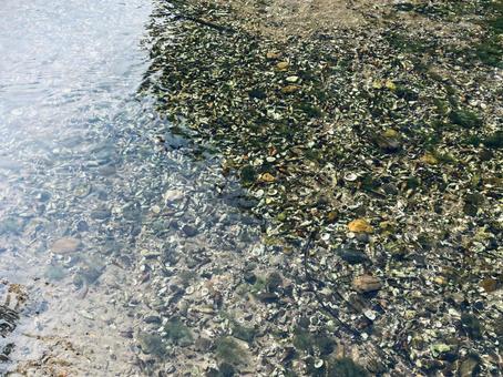 小川の水面テクスチャー 小川の水面テクスチャーの写真