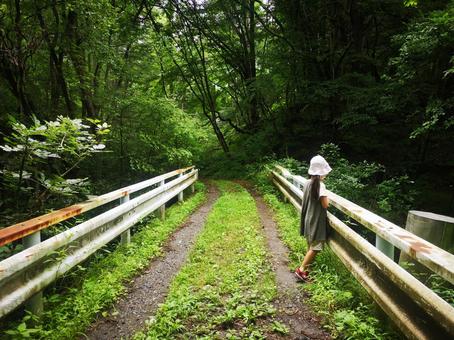 夏休みの子供の自然体験の写真