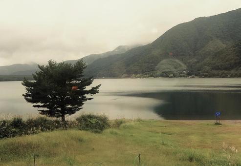 西湖 風景 西湖 風景 景色,湖,緑地帯の写真素材