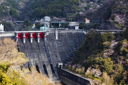 ダム ダムの写真