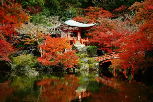 醍醐寺 醍醐寺,紅葉,京都紅葉の写真素材