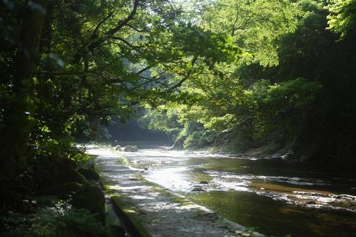 粟又の滝 粟又の滝 自然,川,きれいの写真素材