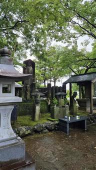 雨の武蔵塚公園 武蔵塚 雨の武蔵塚公園 武蔵塚 武蔵塚公園,宮本武蔵,武蔵塚の写真素材