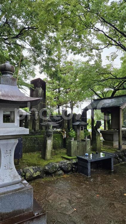 雨の武蔵塚公園　武蔵塚 武蔵塚公園,宮本武蔵,武蔵塚の写真素材