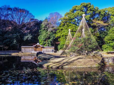【東京都】文京区・小石川後楽園 小石川後楽園,紅葉,水道橋の写真素材