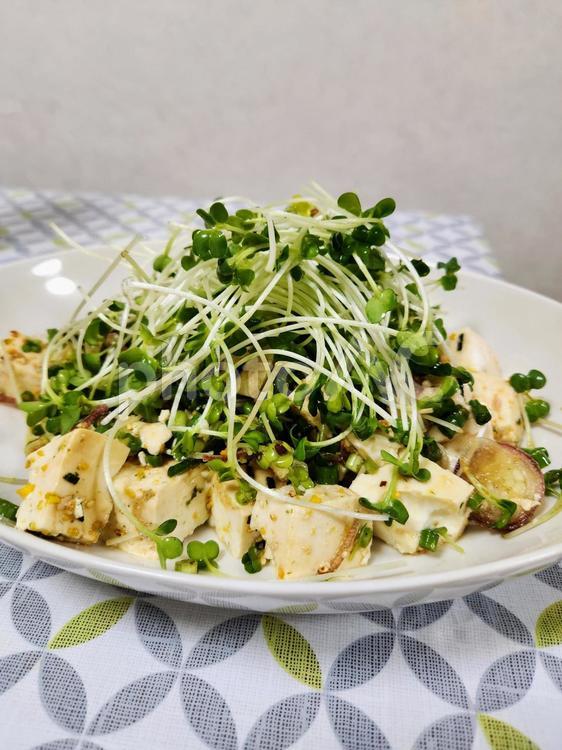 豆腐の和え物3 木綿豆腐,豆腐,かいわれ大根の写真素材