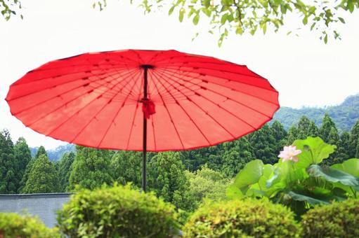 花ハスと赤い傘 花ハスと赤い傘の写真