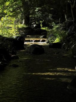 小川 小川の写真