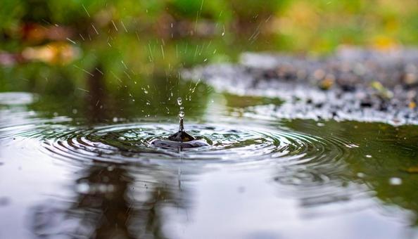 水たまりに落ちる雨粒 水たまりに落ちる雨粒の写真