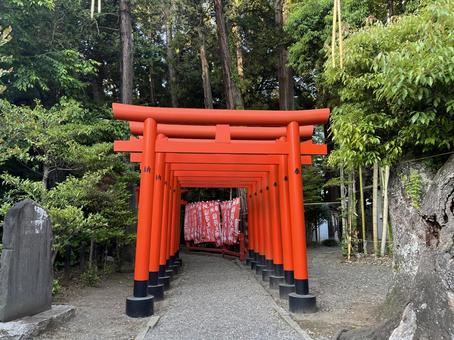 常磐稲荷神社 常磐稲荷神社,水戸,偕楽園の写真素材