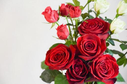 赤と緑のばら 赤と緑のばら 赤い薔薇,赤,緑の写真素材