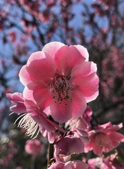 太陽を浴びての写真