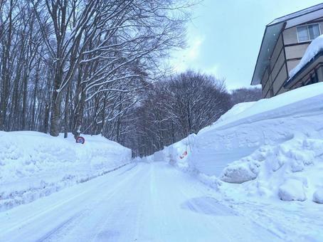 冬の雪道を走る車 冬の雪道を走る車 雪,冬,雪景色の写真素材